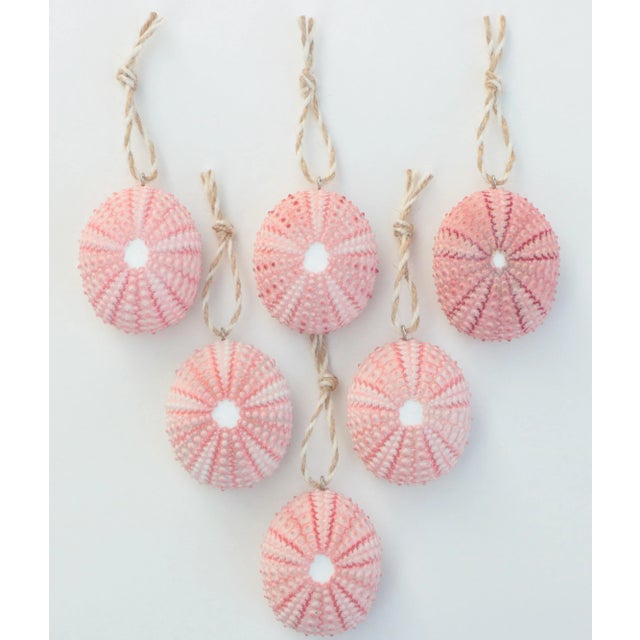 Not Yet Made - Made To Order Sea Urchin Christmas Ornaments in Pink - Set of 6 For Sale - Image 5 of 5