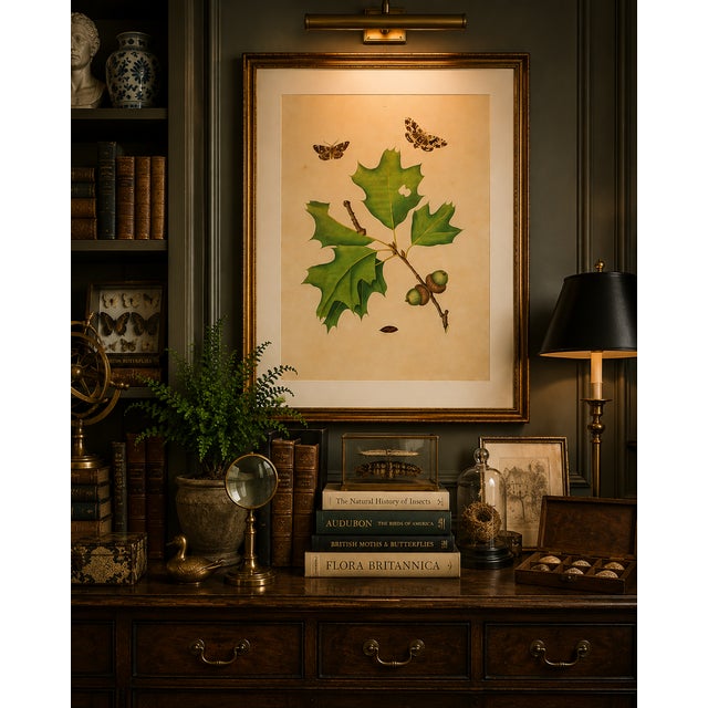 Oak Leaf & Acorn Study With Moths, 1797 Vintage Art Print Reproduction, 32" X 48" For Sale - Image 11 of 12
