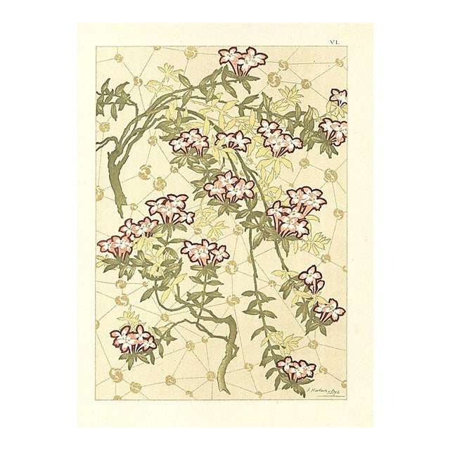 C1900 French Art Nouveau Botanical Design Chromolithograph, Beech Creeper by Habert Dys For Sale