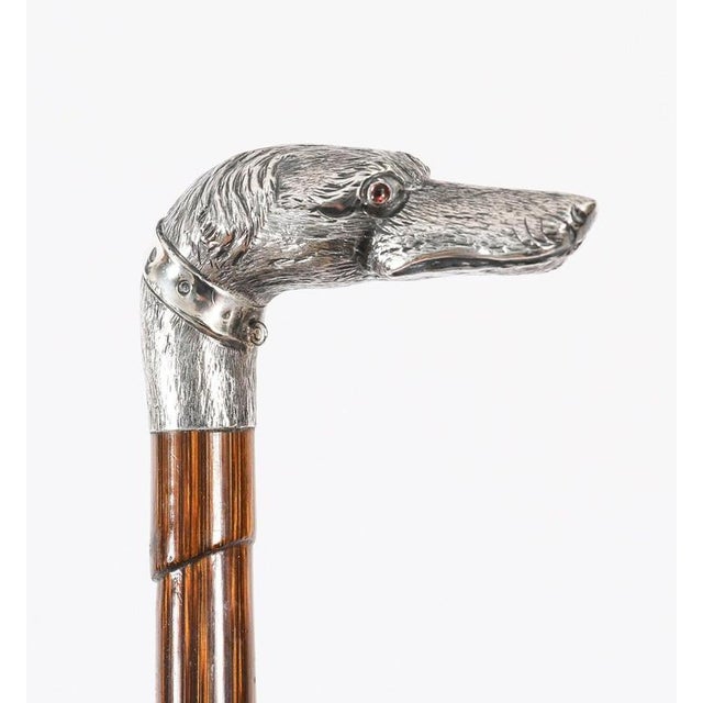 Antique Greyhound Head Sliver Handled Walking Stick Cane, 1890s For Sale - Image 11 of 12