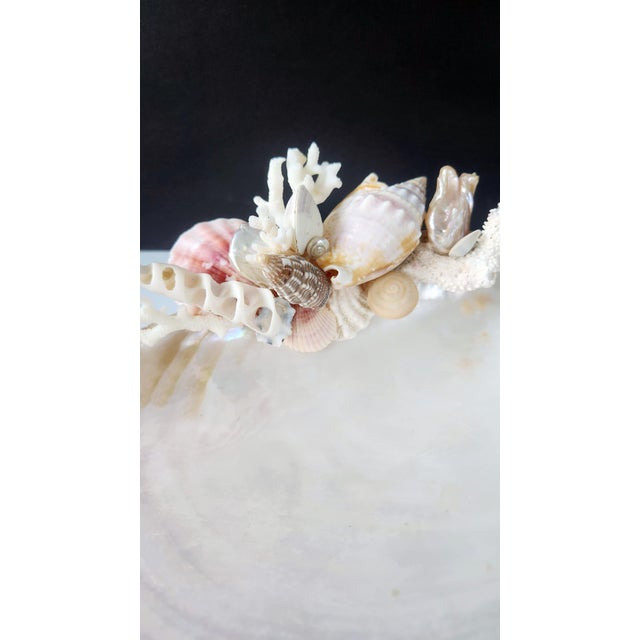 Handcrafted Oyster Shell Tray With Vintage Seashell Composition & Biwa Pearls — Coastal Sculptural Object For Sale - Image 9 of 14