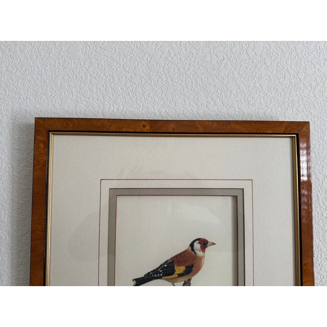 Wood Antique Bird Print: Cardulis by Ethan Allen For Sale - Image 7 of 11