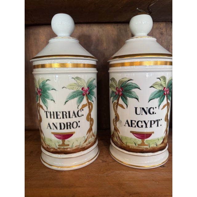 Set of 12 Late 19th Century Continental Porcelain Apothecary Jars For Sale - Image 4 of 8