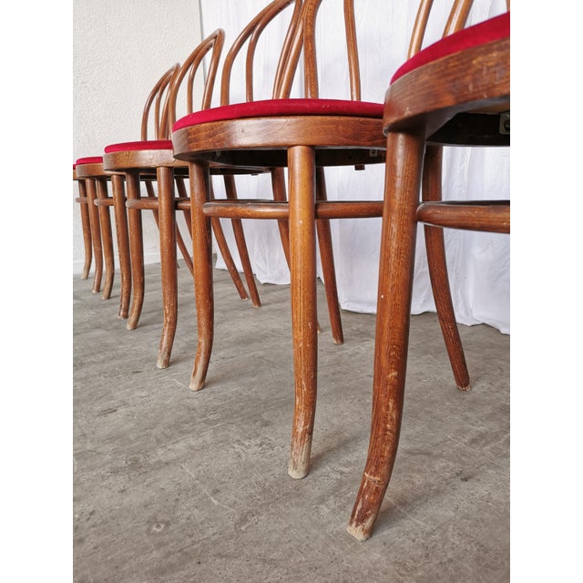 Vintage Bentwood Dining Chairs with Red Upholstery, 1970s, Set of 6 For Sale - Image 6 of 18