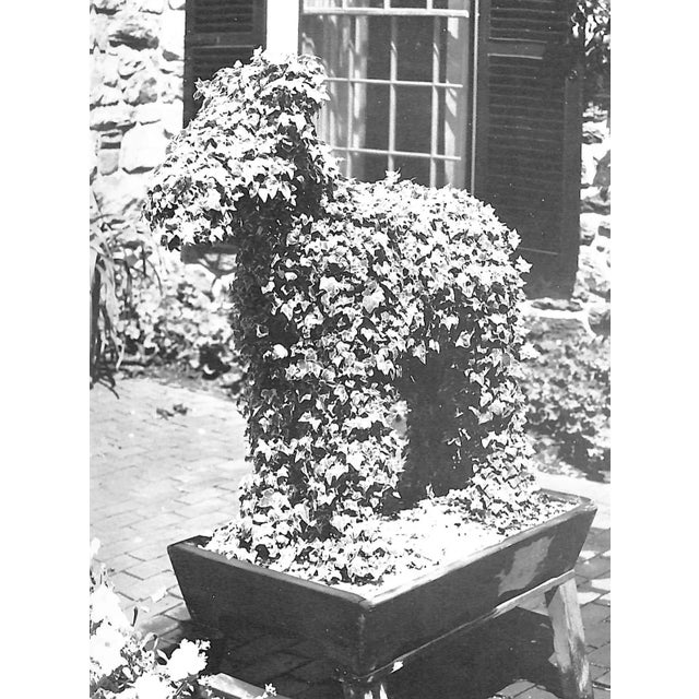 1970s "The Complete Book of Garden Ornaments, Complements, and Accessories" Book 1972 Foley, Daniel J. For Sale - Image 5 of 11