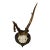 Abnorm Deer Trophy on Turned Plaque, Germany Ca. 1930s For Sale