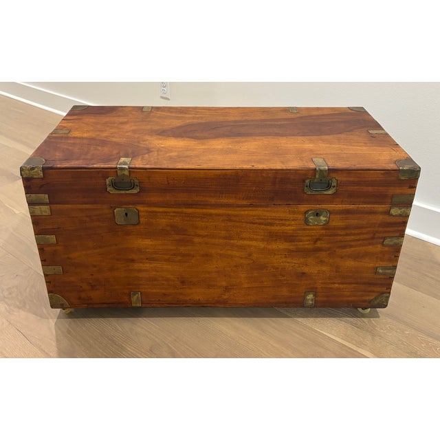 Large 19th Century British Campaign Trunk in Brass Bound Camphor Wood For Sale - Image 13 of 15
