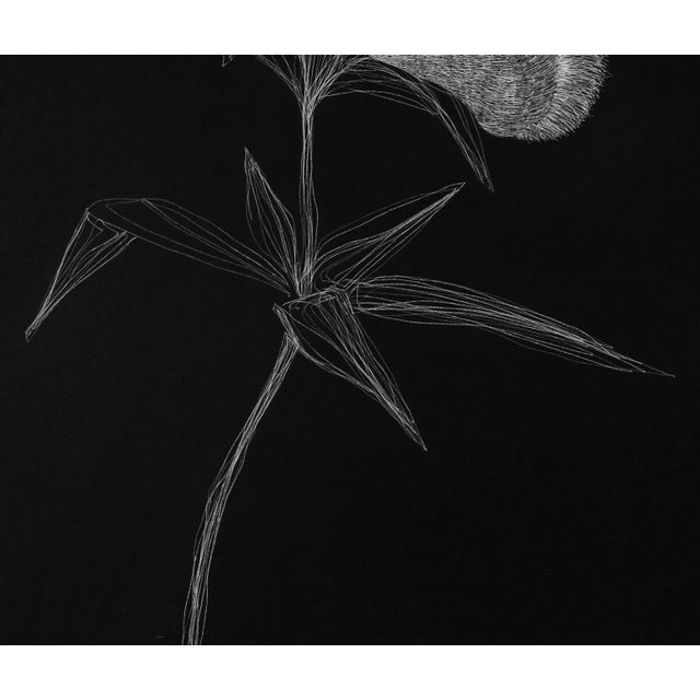 Postmodern Secret Garden 14 by Alina Aldea For Sale - Image 3 of 6