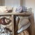 Tan Vintage Curated Seashell Specimen Collection in Wooden Shadow Box Cabinet For Sale - Image 8 of 10