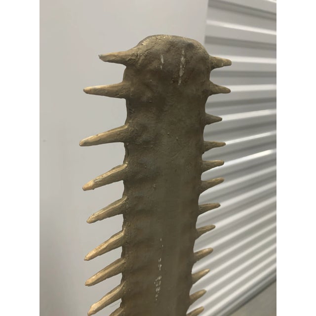 Set of 2 Faux Sawfish Bill Rostrums on Metal Stands, 1980s For Sale In Dallas - Image 6 of 11