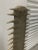 Set of 2 Faux Sawfish Bill Rostrums on Metal Stands, 1980s For Sale In Dallas - Image 6 of 11