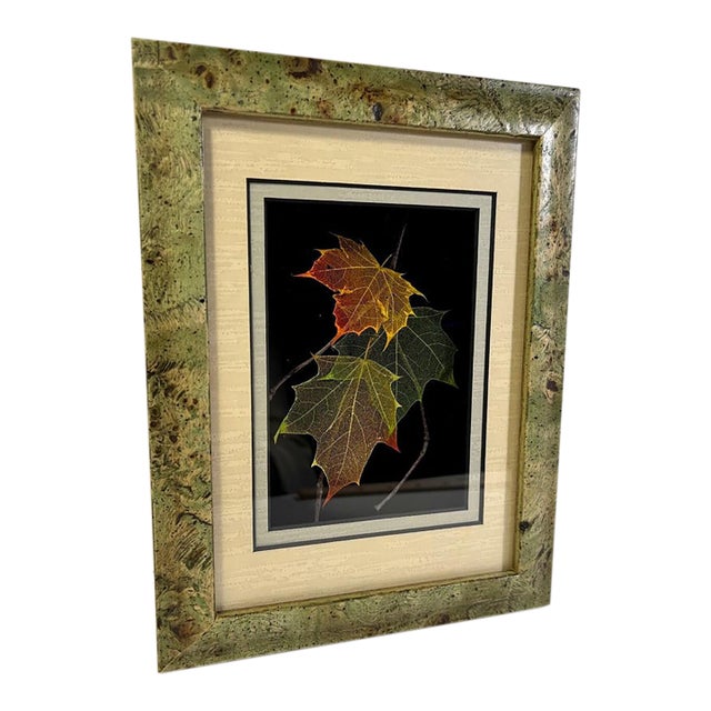 Vintage Booker Morey Norway Maple Leaves Signed Shadow Box Frame # 7-5692 For Sale