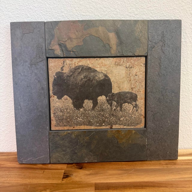Pair of handcrafted wildlife wall art by Shlomo Shuval for Sierra Slate Images. Featuring a bison with calf and a bull...