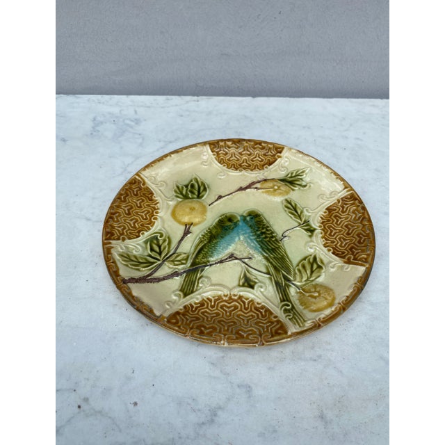 Majolica plate two parakeets with oranges Salins, circa 1890.
