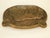 ANTIQUE ASHTRAY ART PLAQUE SOLID BRONZE, HUNTING DOG TOBACCO FISHING SPORT HUN For Sale - Image 4 of 7