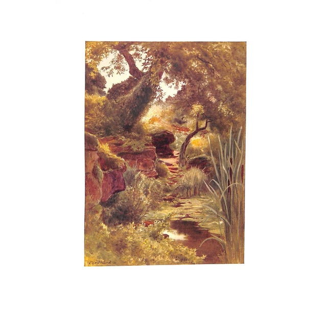 1910s "Royal Gardens" 1912 Ward, Cyril For Sale - Image 5 of 11