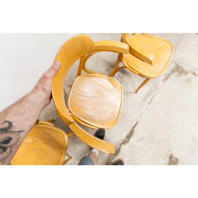 Gold Bistro Armchair, 1960s, Set of 4 For Sale - Image 8 of 18