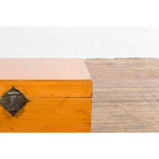 Tangerine Chinese Early 20th Century Elmwood Blanket Chest with Brass Hardware For Sale - Image 8 of 13