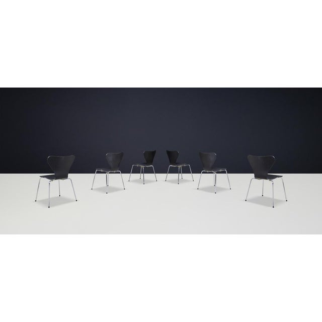 Wood Black 3107 Series 7 Dining Chairs attributed to Arne Jacobsen for Fritz Hansen, 1990s, Set of 20 For Sale - Image 7 of 9