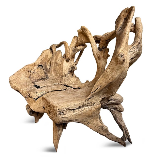 Vintage Organic Freeform Teak Root Bench/Chair For Sale - Image 4 of 7