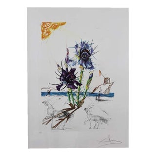 Salvador Dali, Iris Dali’s Youth, 20th Century, Signed Lithograph For Sale