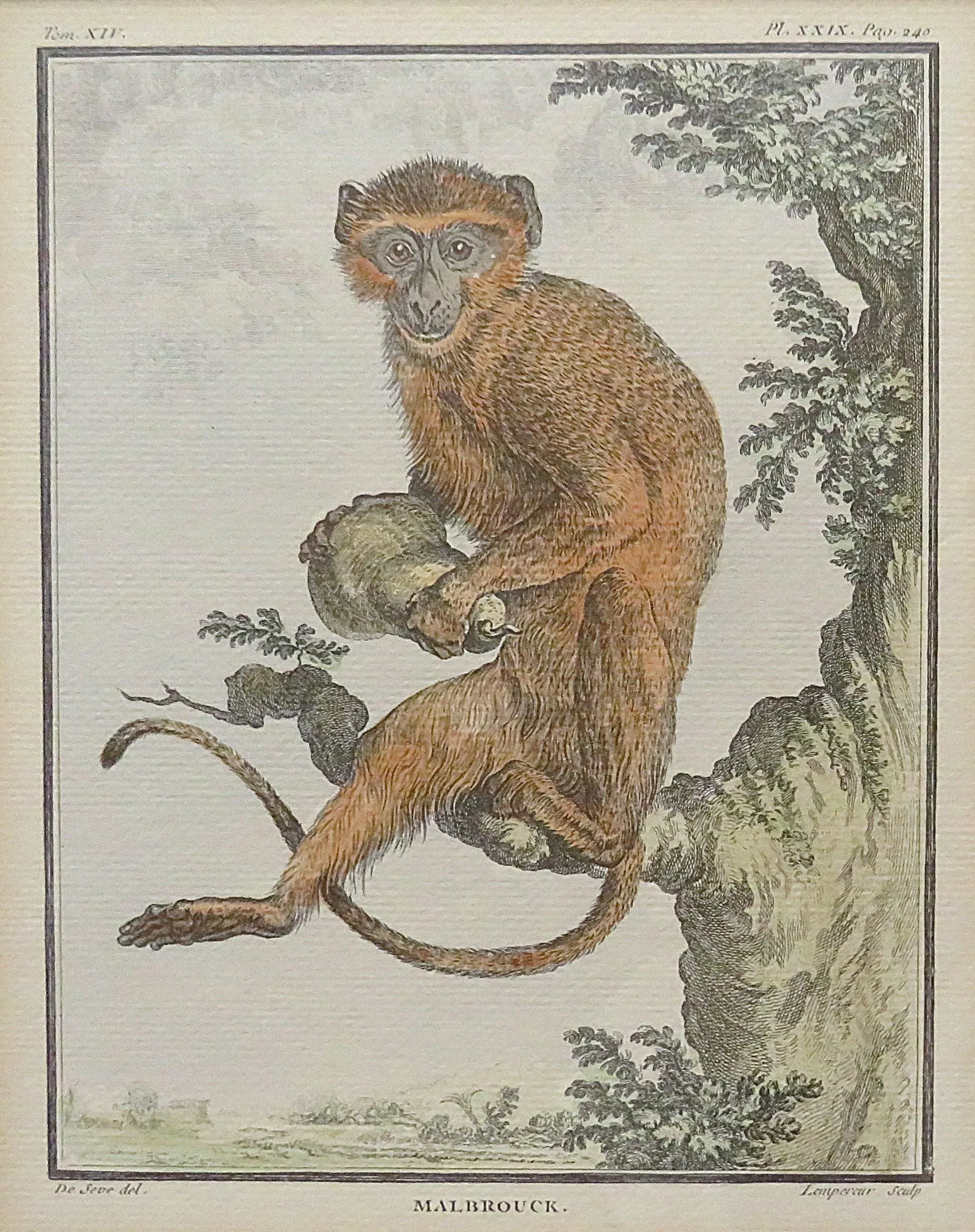 1-of-3-18th-century-french-