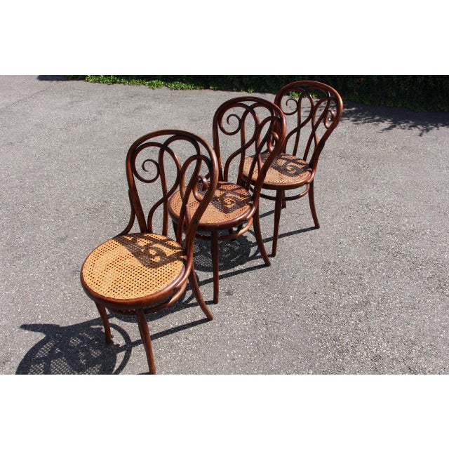 19th Century Bistro Chairs in the style of Thonet, 1890s, Set of 8 For Sale - Image 11 of 14