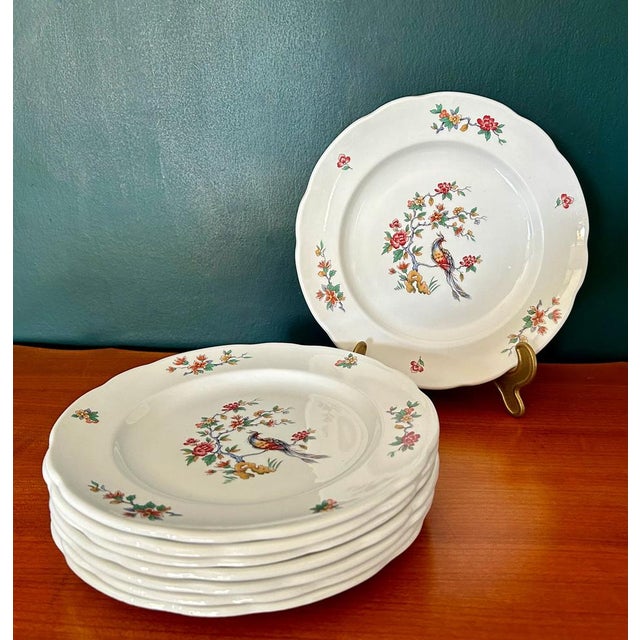 French Dinner Plates with Peacock Pattern / Iron Earth / Ironstone from Sarreguemines, 1900s, Set of 6 For Sale - Image 5 of 8