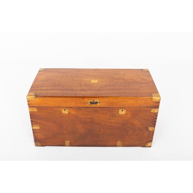 Antique Campaign Trunk Camphor Wood Military Chest, 1880 For Sale - Image 6 of 6