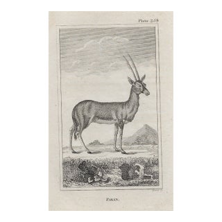 Antique Pasan Deer Engraving For Sale