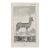 Antique Pasan Deer Engraving For Sale