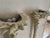 1960s Pair of Fiberglass Torchères in the Manner of Serge Roche For Sale - Image 12 of 13