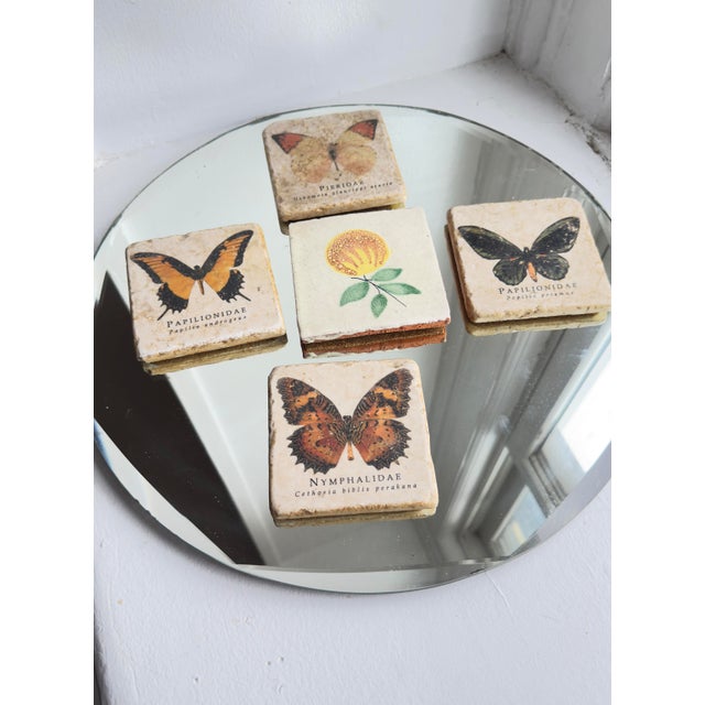 Orange Vintage Late 20th Century Italian Marble Coasters With Butterfly and Botanical Illustrations - Set of 5 For Sale - Image 8 of 9
