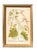 Set of Eight Framed Botanicals by J. Wilhelm Weinmann For Sale - Image 4 of 17