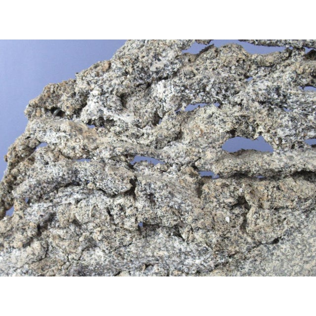 Peculiar large sculpture depicting horse head, made of agglomerate of granite granules and papier-mâché on wood base, by...