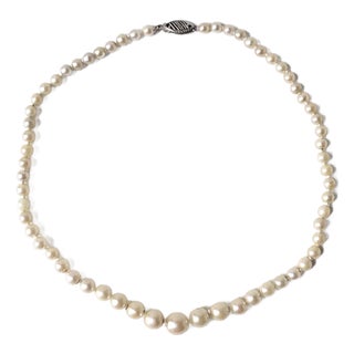 Pearl Choker Necklace 14kt Gold Clasp, Circa Mid-20th Century For Sale