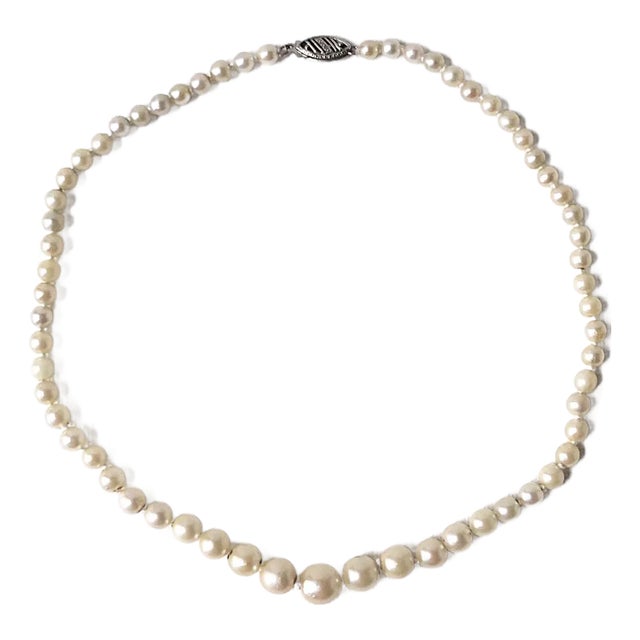 Pearl Choker Necklace 14kt Gold Clasp, Circa Mid-20th Century For Sale