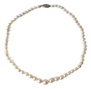 Pearl Choker Necklace 14kt Gold Clasp, Circa Mid-20th Century