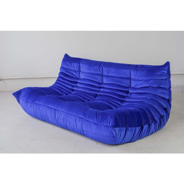 Togo Three-Seat Sofa in Blue Velvet by Michel Ducaroy for Ligne Roset For Sale - Image 12 of 12