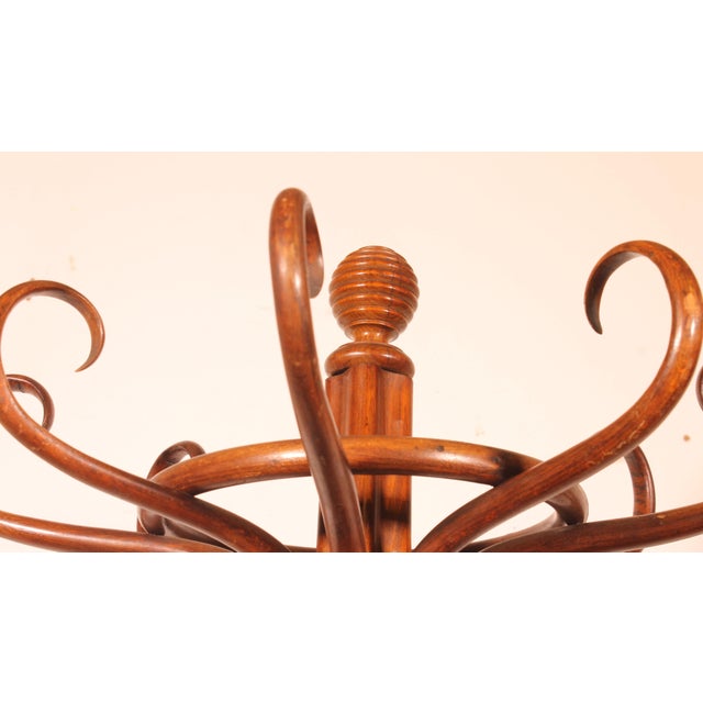 Tan Art Nouveau Parrot Coat Rack For Sale - Image 8 of 9