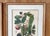 Vintage Botanical Floral Prints, l'Ile De Java, Framed, a Pair Reproduction For Sale - Image 10 of 12