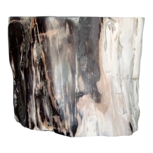 Organic Petrified Wood Stump #815 (Rosewood) - Supellex For Sale