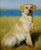 Laura E. Cassidy Portrait of a Yellow Labrador Retriever - Oil Painting For Sale - Image 4 of 9