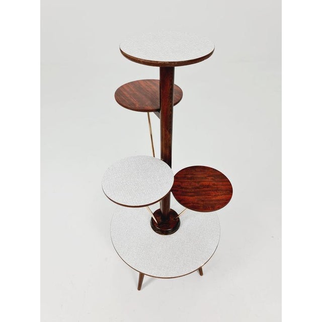 German Plant Stand by Opal, 1950s For Sale - Image 7 of 11