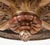 Gold 1930's French Bronze Chandelier For Sale - Image 8 of 18