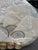 New Old Stock Vintage Capiz Shell Table Setting – Set of 6 Placemats, Napkins, Napkin Rings & Coasters in Original Packaging For Sale - Image 10 of 11