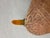 Tan Vintage Pair of Mallard Duck Decoys For Sale - Image 8 of 9