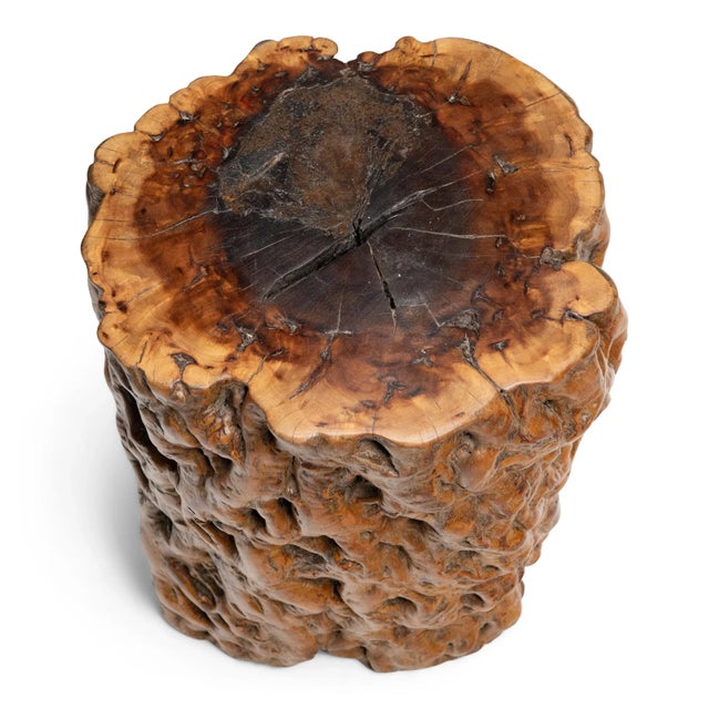 Contemporary Burlwood Side Table For Sale - Image 3 of 6