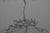 Gochka Charewicz, L'éclosion, Lithograph For Sale - Image 4 of 8