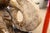 Contemporary Fritz Olsen - Signed 1988 Marble Hand Carved Biomorphic Contemporary Sculpture For Sale - Image 3 of 5